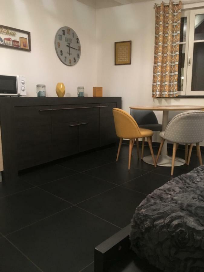 Les Appartements Berthe Molly Colmar Esterno foto