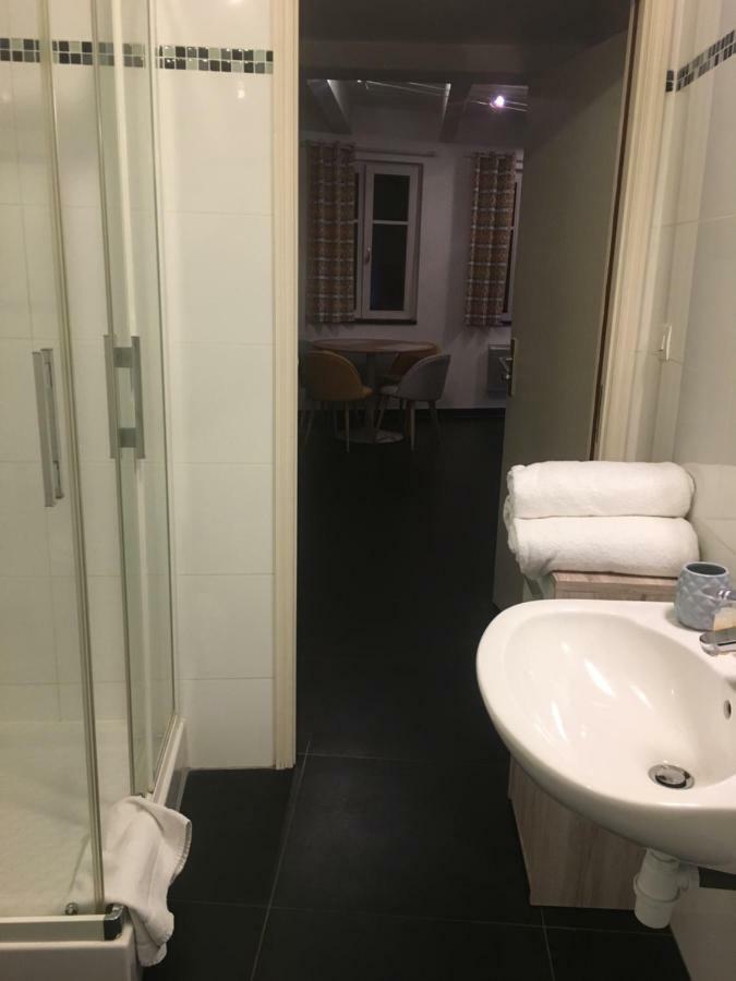 Les Appartements Berthe Molly Colmar Esterno foto