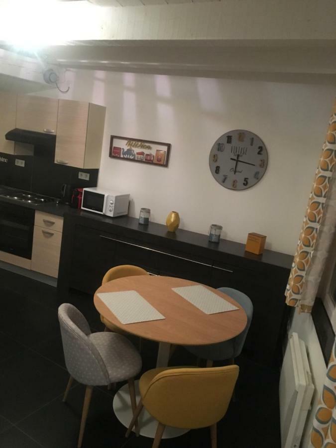 Les Appartements Berthe Molly Colmar Esterno foto